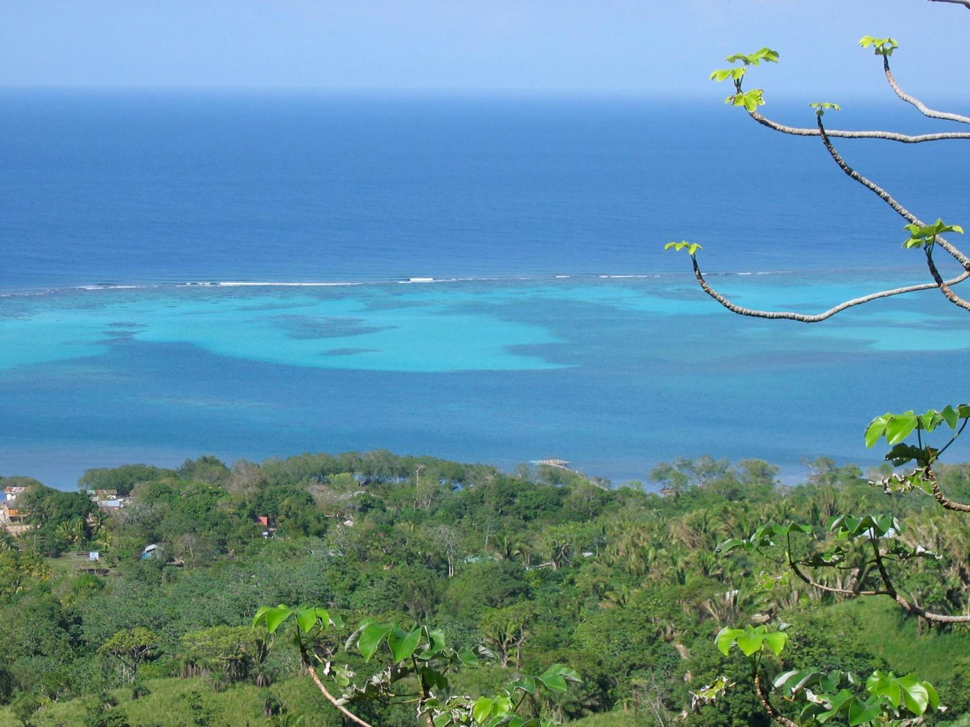Roatan Bed & Breakfast Apartments West End Kültér fotó