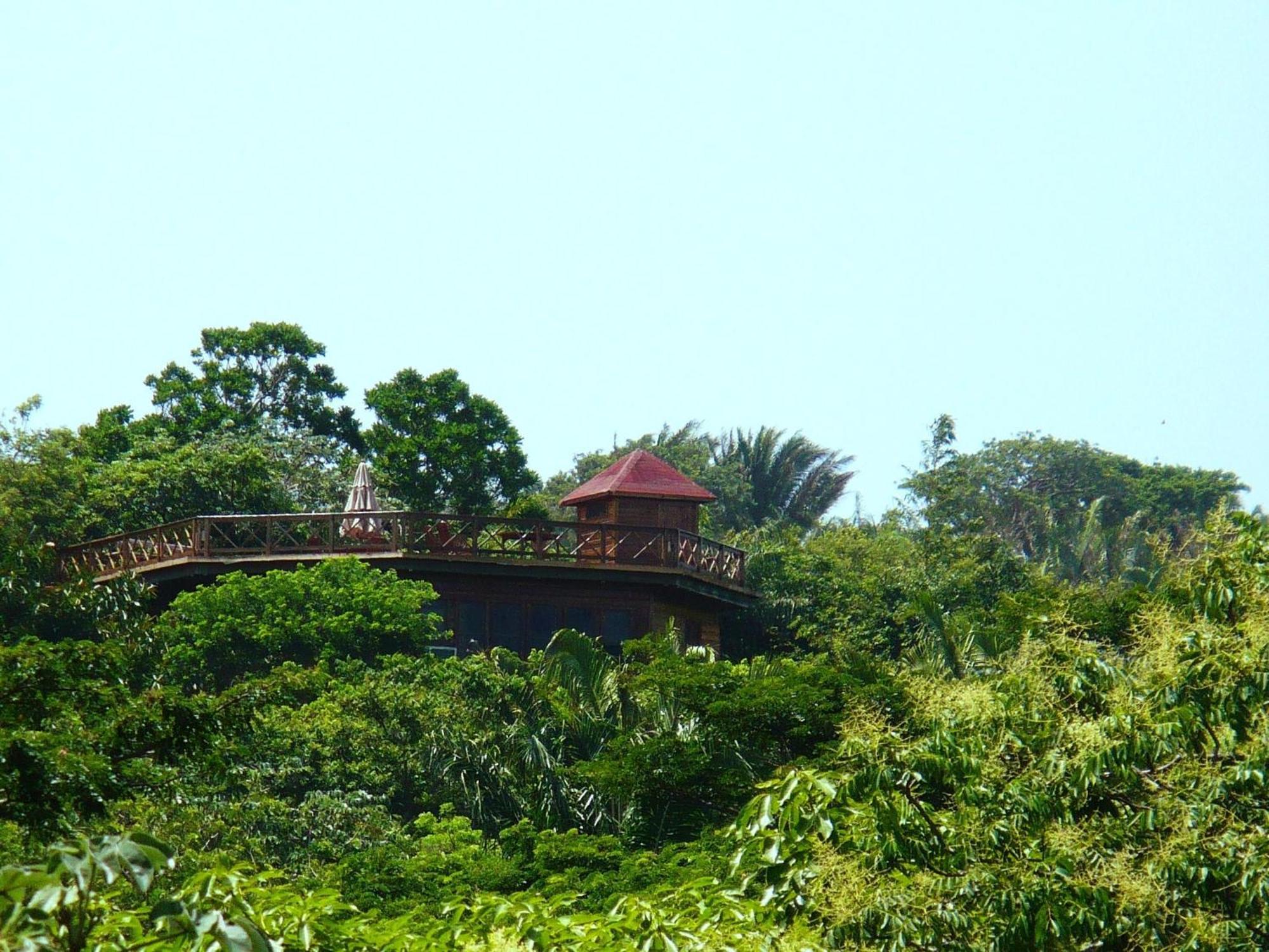 Roatan Bed & Breakfast Apartments West End Kültér fotó
